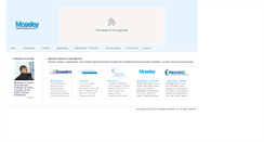 Desktop Screenshot of moseleysb.com